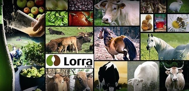 LORRAk aurten instalatzeko asmoa duten 25 ekintzaile babestuko ditu