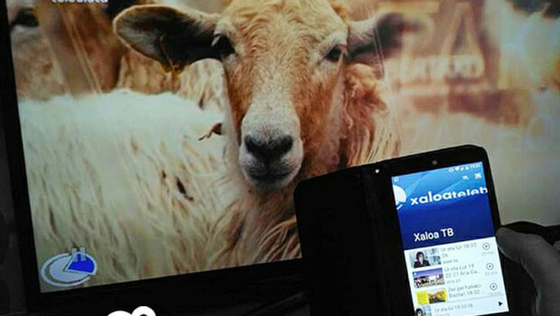 Codesyntaxek  garatu  du  telebistan  euskarazko  bideoak  ikusteko  lehen  aplikazioa