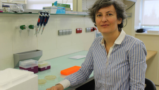 CIC biomaGUNE participa en un proyecto internacional para impulsar una nueva generación de bio-LEDS