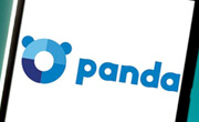 panda history