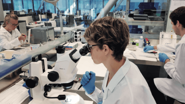 MicroLIQUID, analisi medikoak azkarrago eta automatikoki egiteko txipak