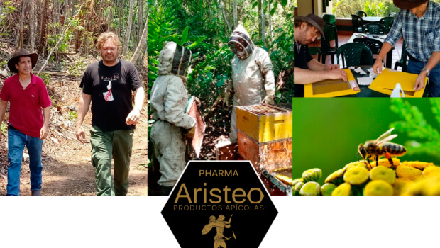 Aristeo Bee Venom: Naturak erleei esker eskaintzen digun oparia ahalik eta gehien aprobetxatzeko unea da