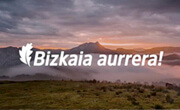 bizkaia aurrera microcréditos