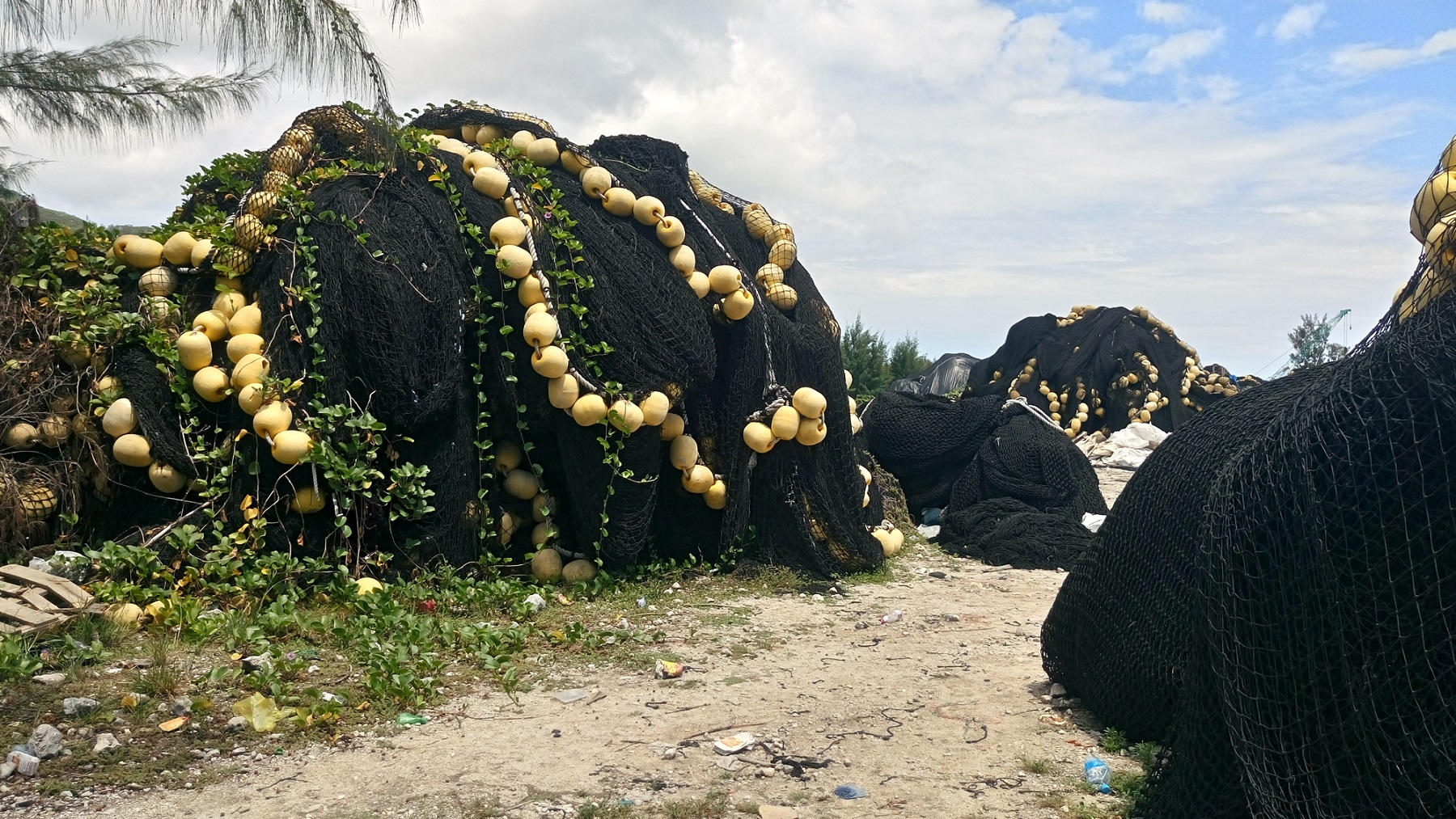 Saretu recicla redes atuneras desechadas en el puerto