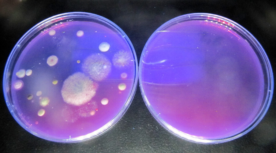 Qué es la luz UV-C y por qué podría contribuir a la eliminación del  coronavirus?