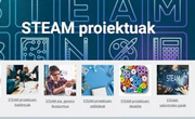 steam proiektuek