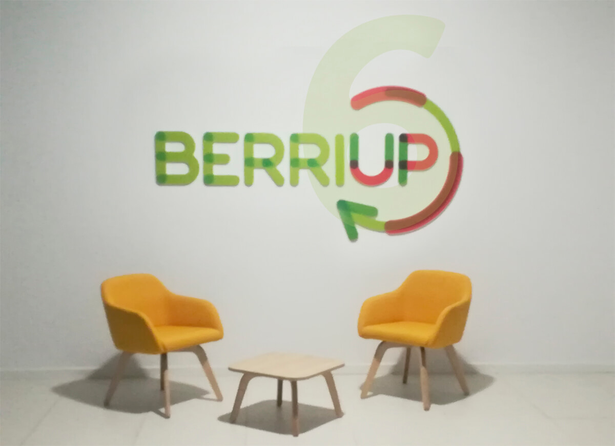 berriup berri up aniversario 6