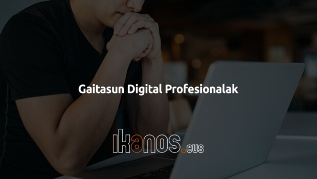 SPRIk programa bat diseinatu du enpresek euren profesionalen profil digitala hobetu dezaten