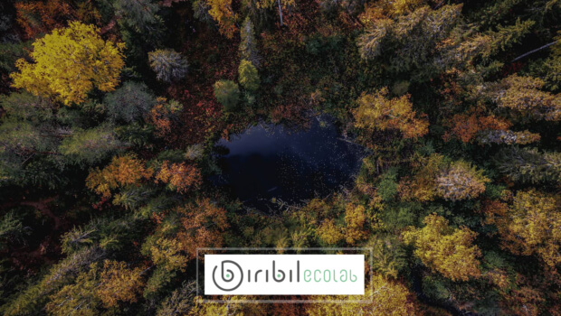 Biribil Ecolab, innovación sostenible: El Tránsito hacia una economía circular