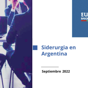Siderurgia Argentina Informe
