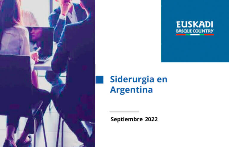 Siderurgia Argentina Informe