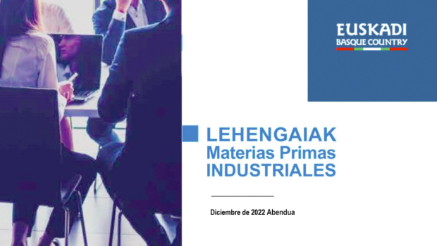 Informe Observatorio Materias Primas Industriales 2022