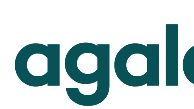 Agaleus-ek hondakinak balorizatzeko proiektu bat lideratzen du, sektore kimikora, papergintzara eta eraikuntzara bideratutako produktuak garatzeko