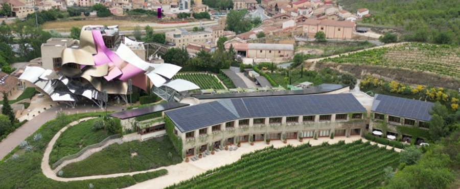 Bikote Solar Marqués de Riscal Elciego Rioja Alavesa