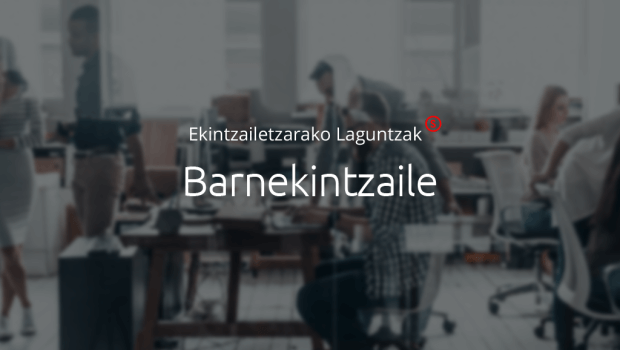 Nola izan enpresa ekintzaile bat Barnekintzaile programarekin, barne-ekiteko laguntza.