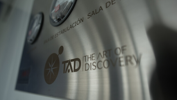 The Art of Discovery, la biotecnológica vizcaína que predice la eficacia de nuevos medicamentos con modelos únicos de ratones humanizados