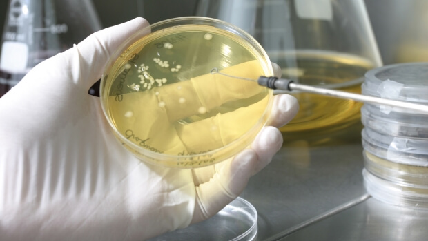 A&B  Laboratorios  de  Biotecnología-k  hirien  garbiketa  jasangarriena  sustatzen  du