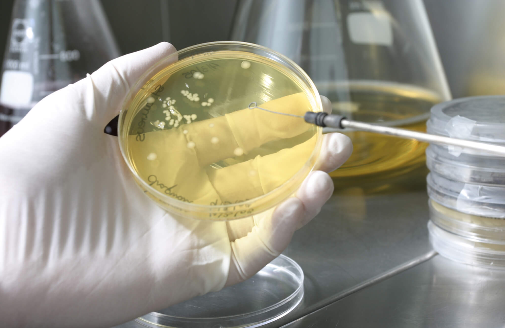 A&B Laboratorios de Biotecnología impulsa la limpieza urbana más sostenible
