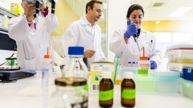 Glycoscience desarrolla repelentes naturales de larga duración y biopesticidas sostenibles desde Euskadi