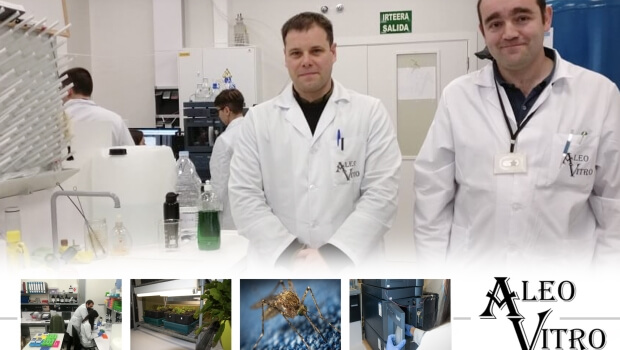 Aleovitro,  landare  in  vitro  hazkuntzarako  euskal  bioteknologia