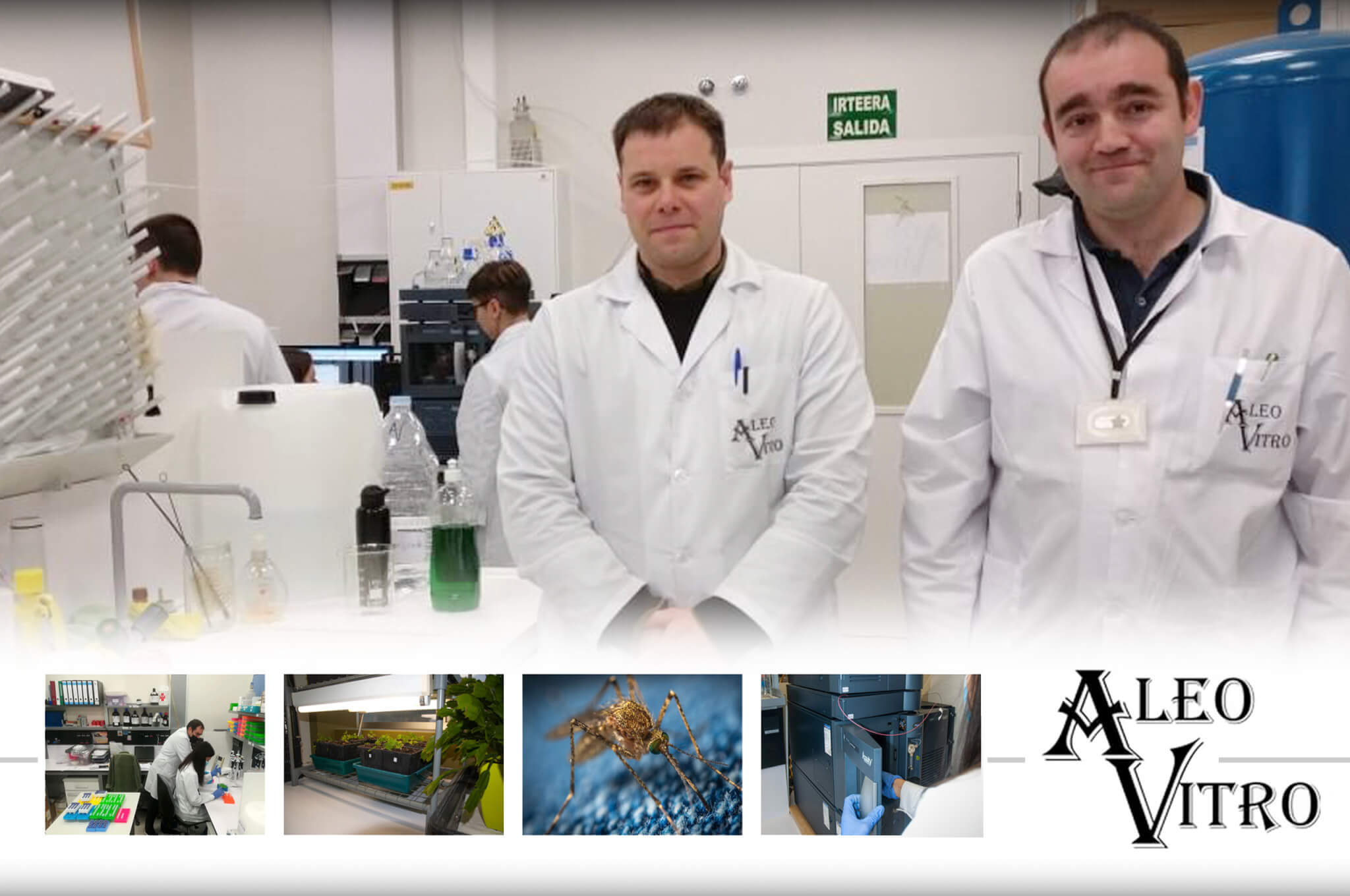 ALEO VITRO. Eneko y Antonio