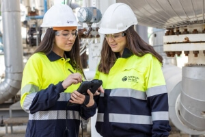 Nippon Gases logra la paridad en su Comité de Dirección