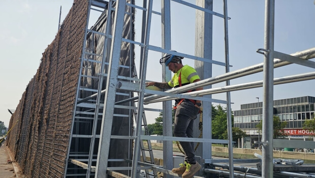 ‘Europea de Trabajos Forestales’ redefine la protección acústica en Bizkaia con el éxito de la nueva pantalla vegetal en La Avanzada (Leioa)