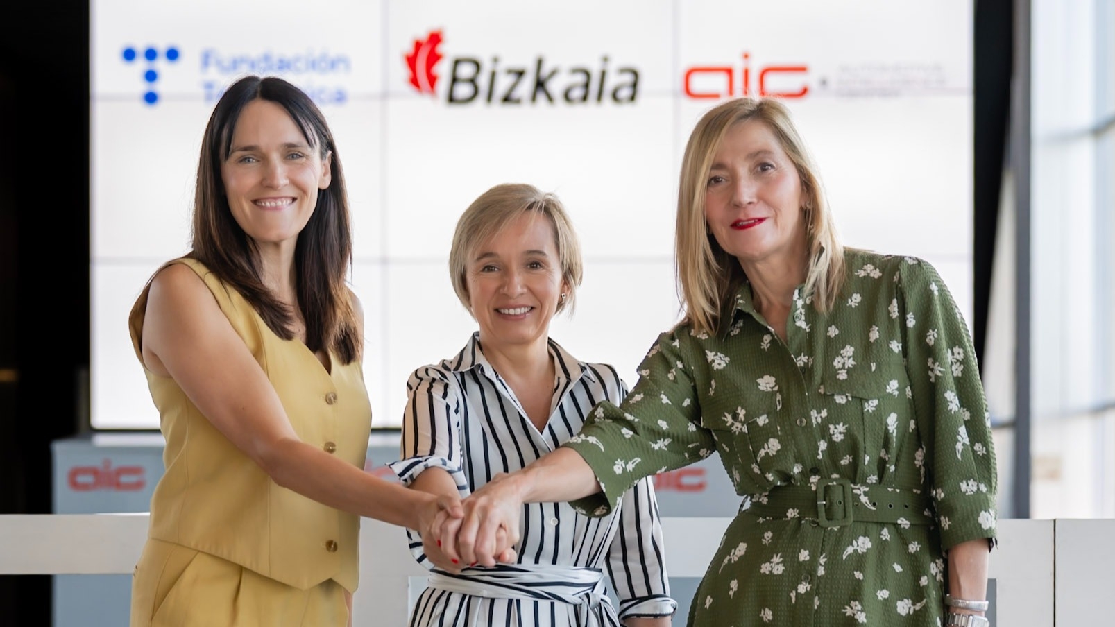 Telefónica, Bizkaia, ACICAE